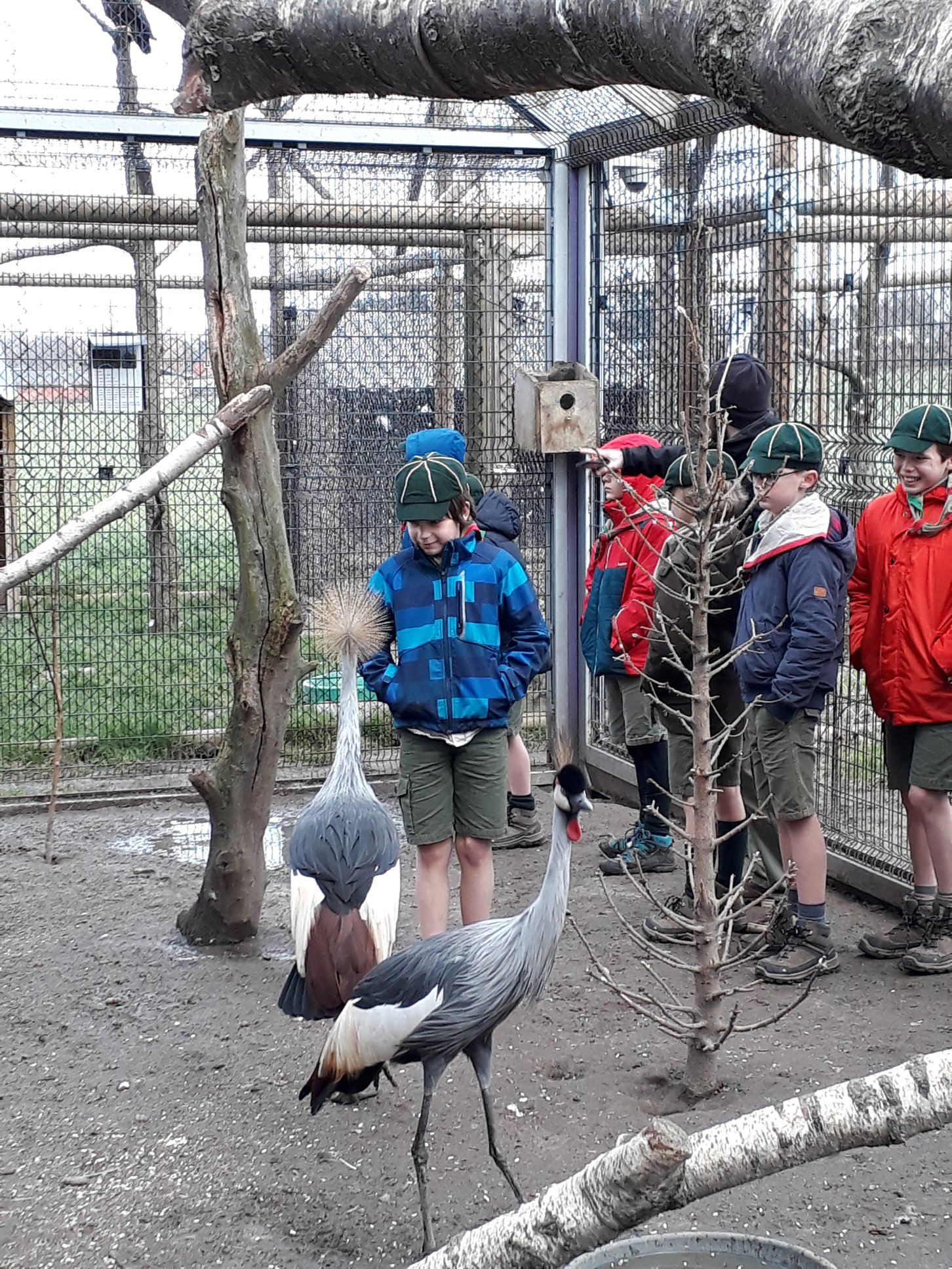 Sint-Martinus den XIIde - Roofvogelactiviteit WHV